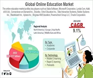 The Evolution and Future of Online Education in the United States