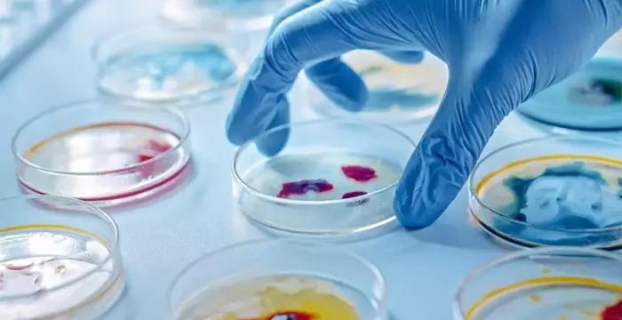 Formation microbiologie à distance