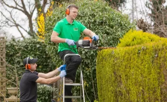 Transform Your Outdoors with a Local Handyman Gardener Near You