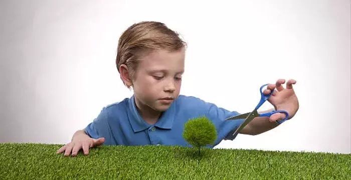 Expert Tree Cutting for a Safer Yard