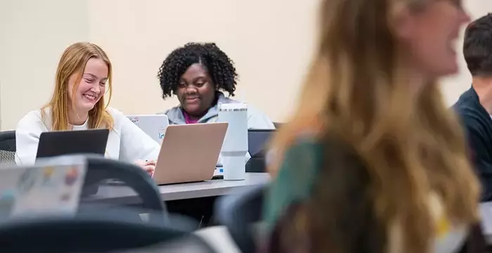 Mental Health Counseling Courses: An Overview