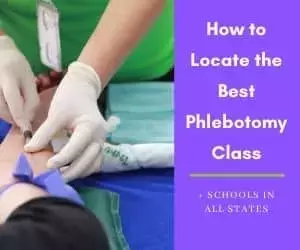 Enter a new chapter in healthcare: Join Mayo Clinic's phlebotomy training