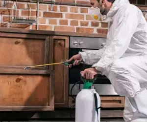 Safeguard Your Home with Horizon Pest Solutions: Canada’s Trusted Pest Control Experts