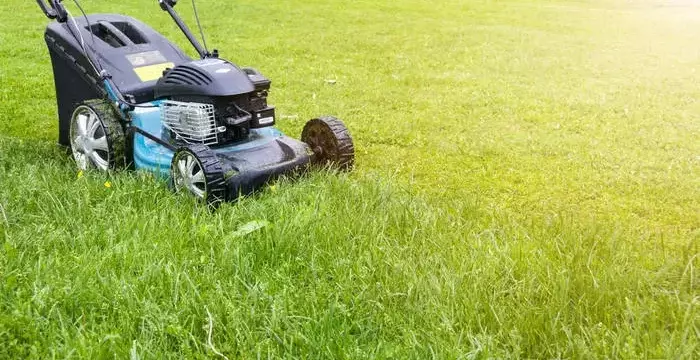 How to find the grasscutting care service in the United States