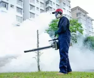 A Home-Owner's Guide to Finding Affordable and Reliable Pest Fumigation Services