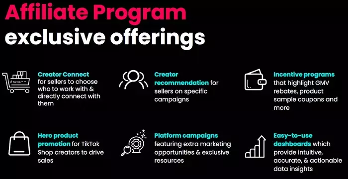 Promoting Products Through Affiliate Marketing Programs