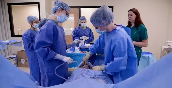 Surgical Technologist Course: Training, Requirements, and Career Outlook
