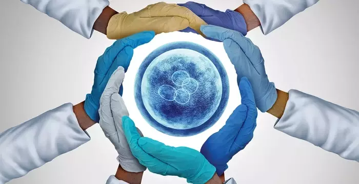 Navigating Legal Considerations in Overseas IVF: A Overview