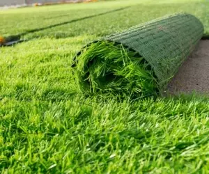 Professional Lawn Care for Less: Tips to Save Big