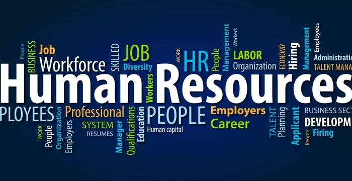 Understanding HR Management Courses: Your Gateway to a People-Focused Career