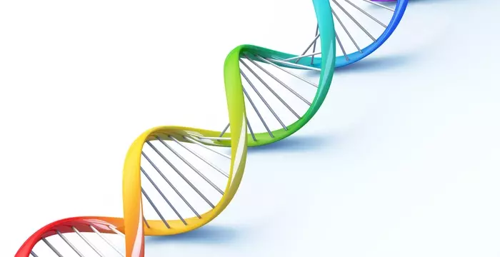 Tracing Your Roots:How DNA Tests Reveal Surprising Ancestry