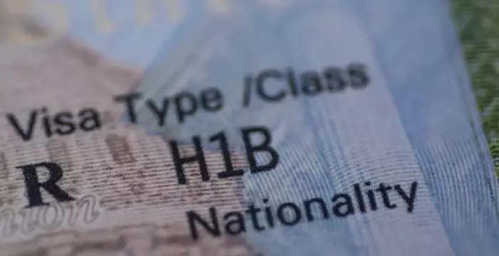 H1B Visa Services: An Overview of Professional Work Visa Support