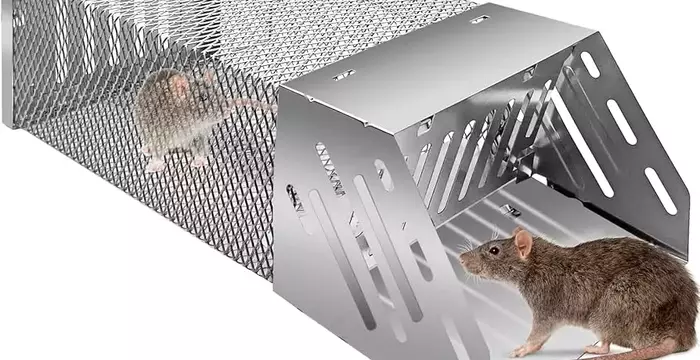 Choosing the Right Mouse Trap: Factors and Functionalities