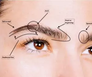 Understanding eyebrow transplantation:Eyebrow Transplantation: What to Know About the Procedure