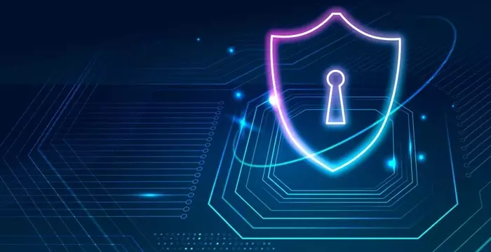 Data Privacy Complience Consulting Firm Understanding