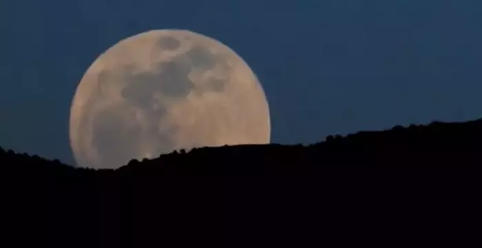 Summer Solstice 2025: A Day of Deals and Delights