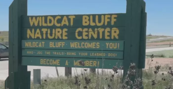 Expansion and Education: Wildcat Bluff Nature Center Targets Young Explorers