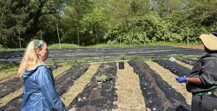 Urban Farming Thrives Amid Challenges in Indianapolis