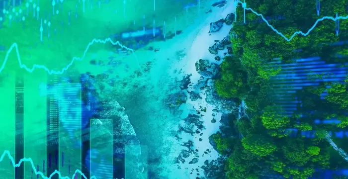 Indonesia's Pioneering Role in Climate Financing and Sustainable Development