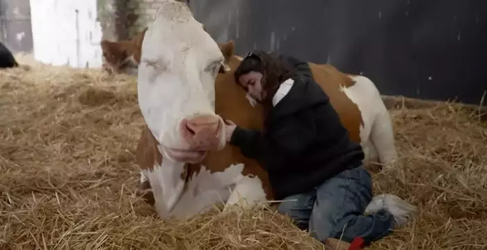 British Farm Transforms Operations to Embrace Eco-Friendly Ventures