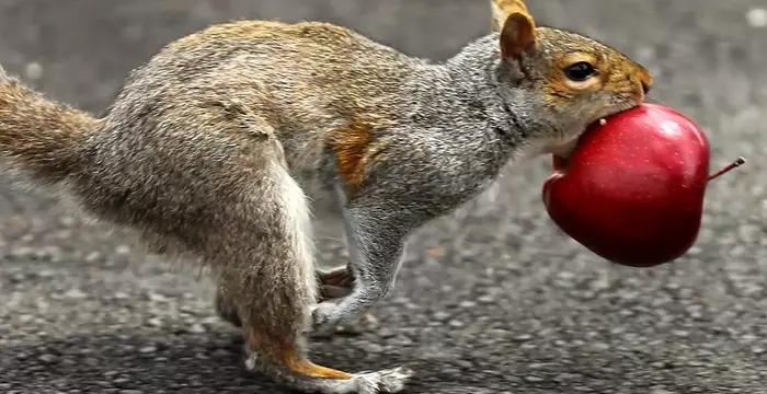 Exploring Boston Through the Eyes of Little Adventurers