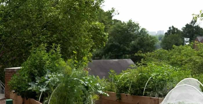 Two New Living-Learning Communities Set to Launch at Mount Vernon Campus