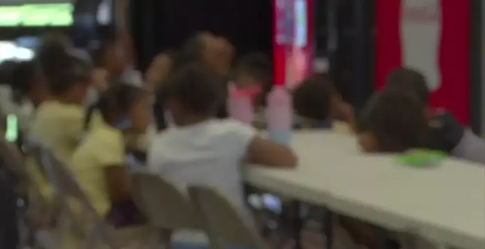 A Flourishing Summer Haven for Lafayette's Youth