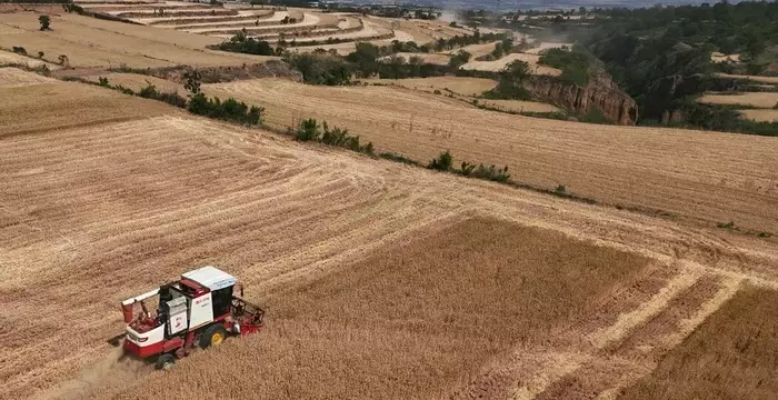 Global Droughts Reshape Food Prices and Supply Chains