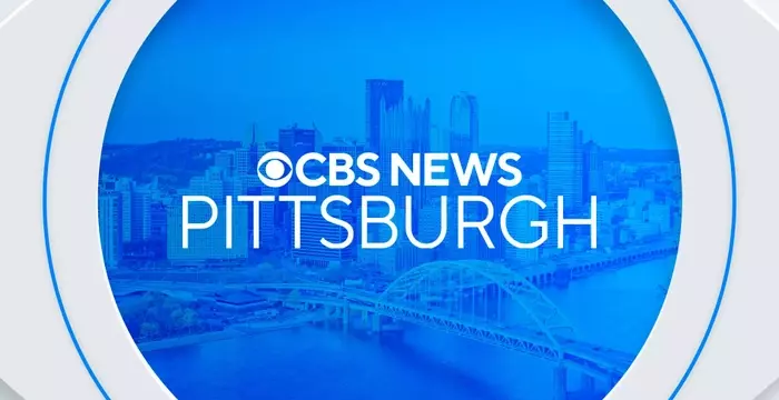 Community Collaboration Ensures No Food Goes to Waste After Major Events