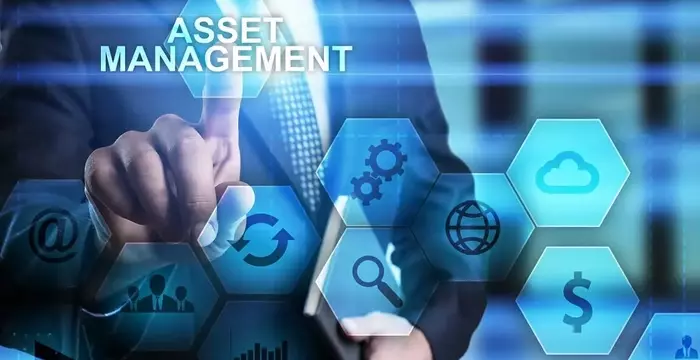 Strategic Asset Management Services: Enhancing Organizational Efficiency and Control