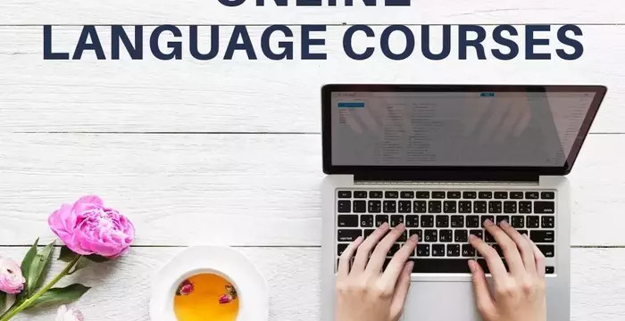 Launch Your Career: Unlock Opportunities with an Online Business Degree