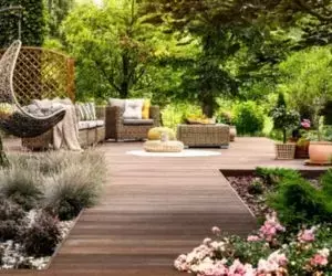 Summer Garden Care Guide for  Homes