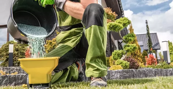 Lawn Care That Actually Works: What You Need to Know