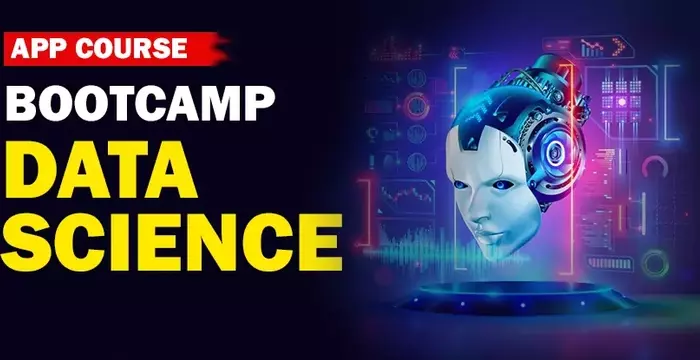 Fast-Track to Data Mastery: Your Guide to Online Data Science Bootcamps