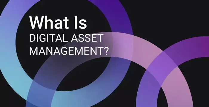 What Digital Asset Management Really Means for Your Team