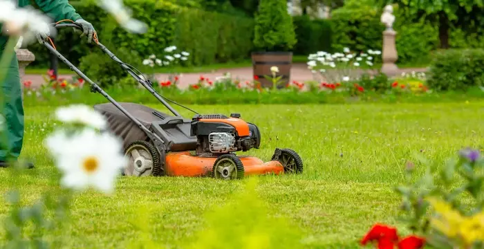 Lawn Care That Actually Works
