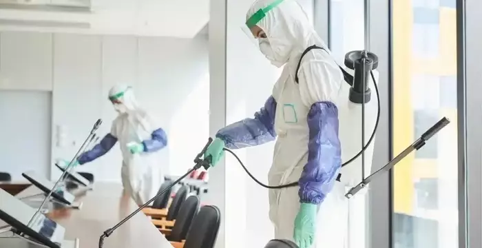 Odor Removal Services That Actually Work