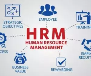 Human Resources Courses: Building Skills for Modern Workplaces
