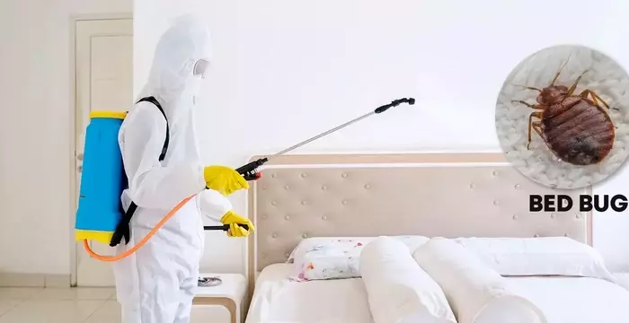 Bed Bug Treatment Services — Fast, Local, and Designed for Lasting Control