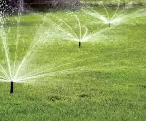 Irrigation System Installation Guide: From Site Assessment to Post-Install Calibration