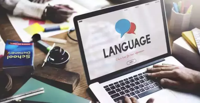 A Comprehensive Overview of Online Language Course