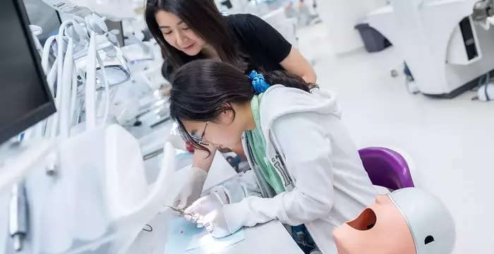 Dental Education: A Systematic and Academic Overview