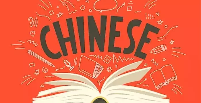 Chinese Language Curriculum: A Systematic and Pedagogical Overview