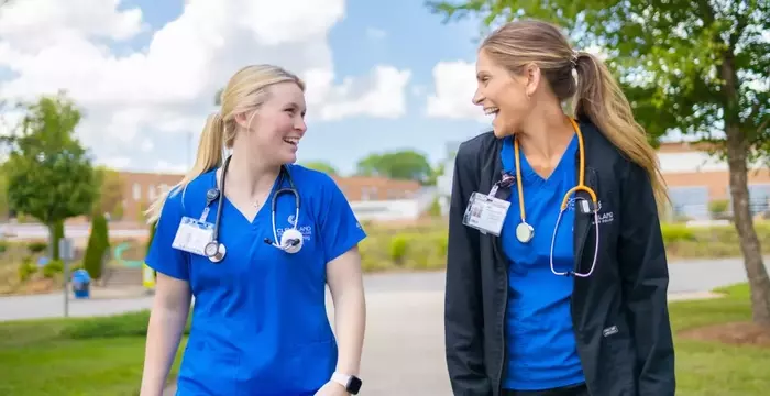 Online Registered Nurse (RN) Curriculum: A Systematic and Academic Overview