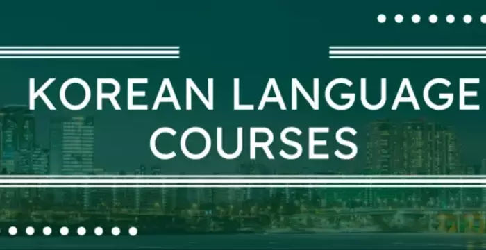Online Korean Language Curriculum: A Systematic and Pedagogical Overview