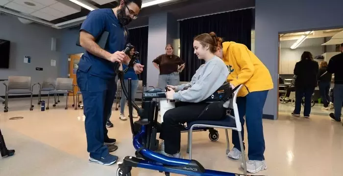 Rehabilitation Technologist Curriculum: A Systematic and Academic Overview