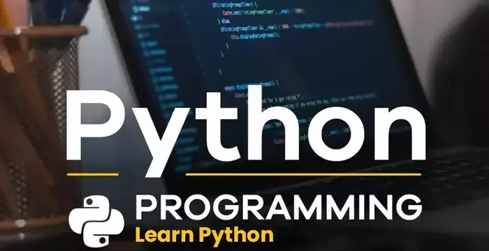 Python Development Training: Structure, Learning Mechanisms, and Industry Context