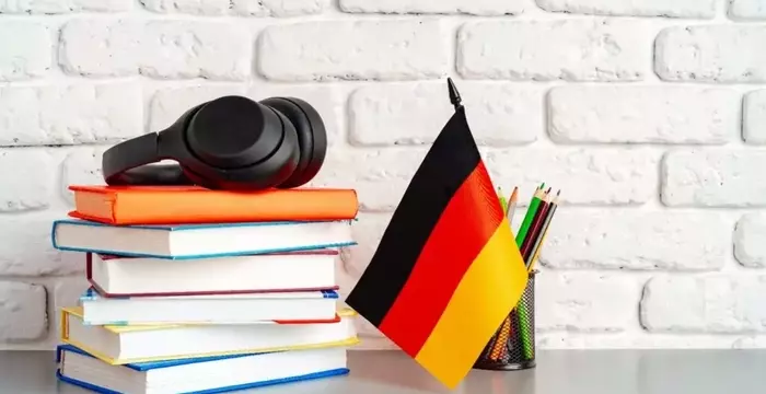 German Language Courses: Concepts, Approaches, and Educational Insights