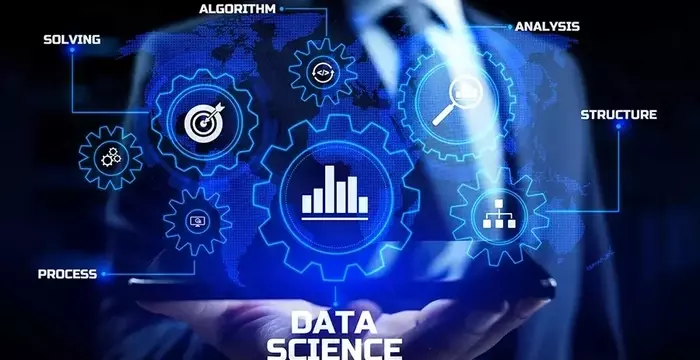 Data Science Training: Foundations, Mechanisms, and Educational Context