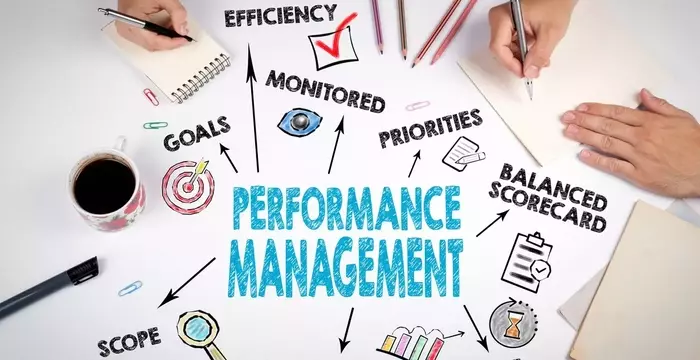 Performance Management Training: Understanding the Structure, Mechanisms, and Organizational Role